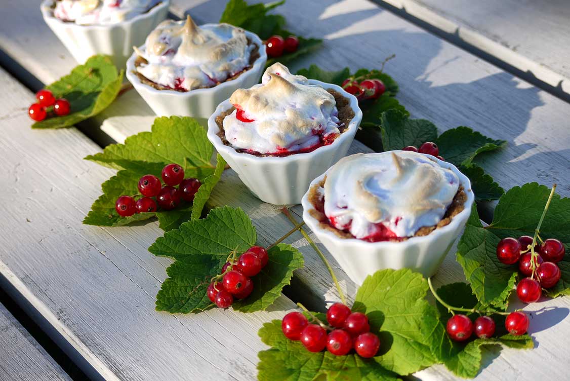 röda vinbär dessert röda vinbär dessert